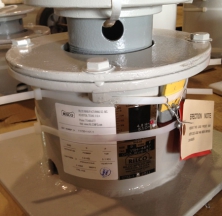 Custom Painted Variable Spring